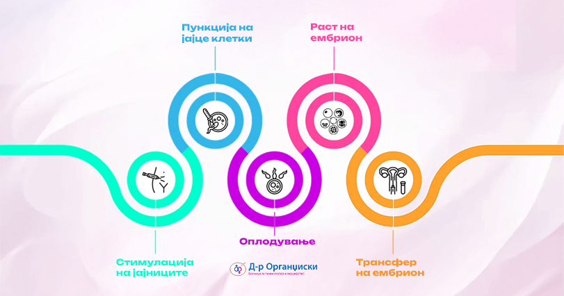 ивф чекори блог